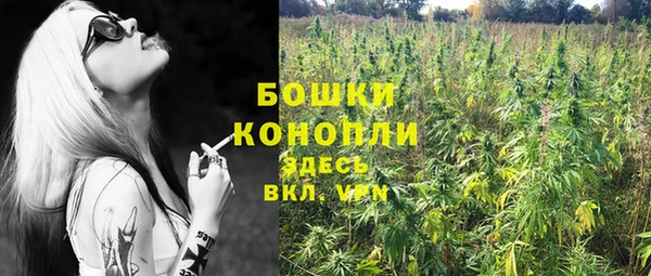 молекула духа Корсаков