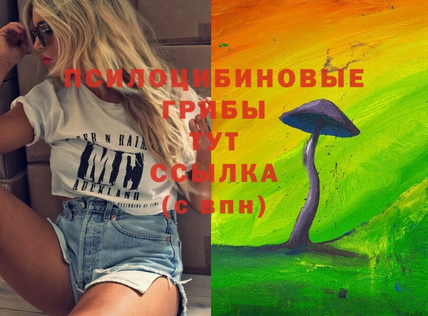 хмурый Костерёво